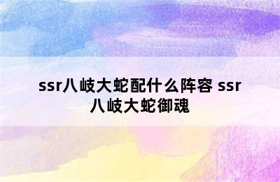 ssr八岐大蛇配什么阵容 ssr八岐大蛇御魂